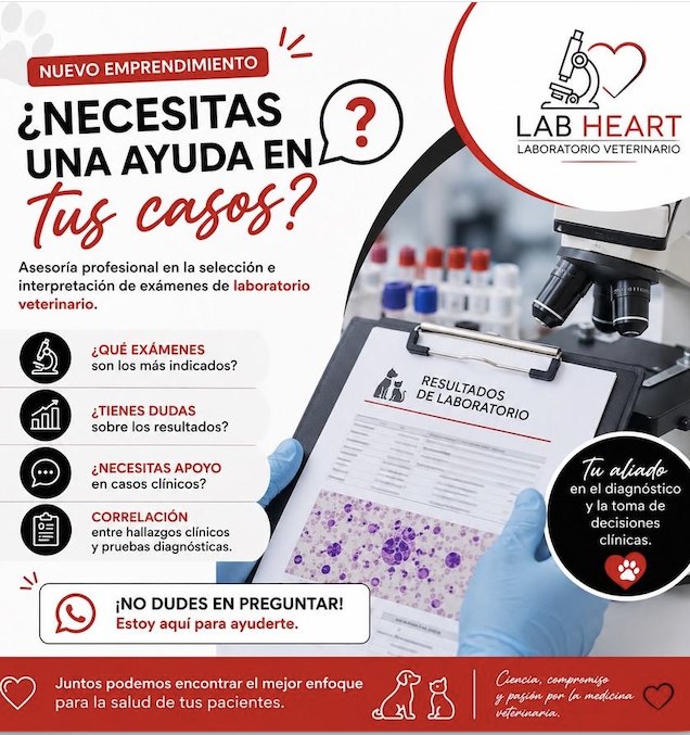 Asesoría en casos clínicos - Lab Heart Vet