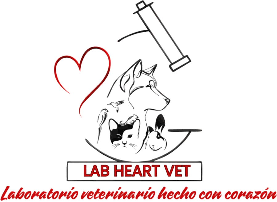Lab Heart Vet