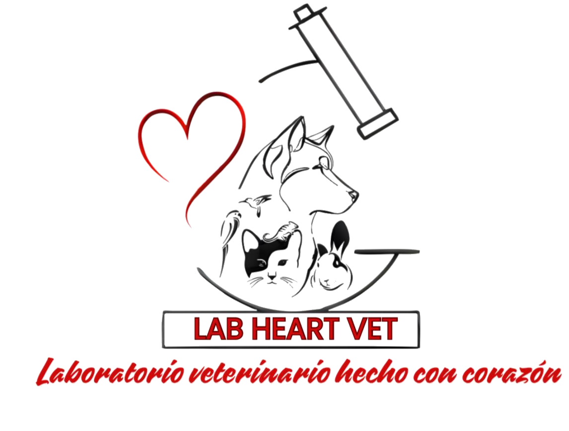 Lab Heart Vet